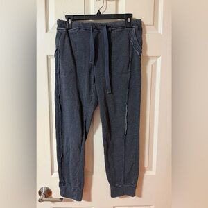 Free people jogger sweatpant